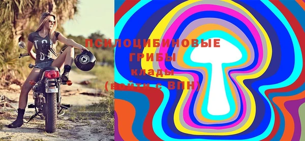 первитин Каменногорск