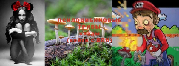синтетический гашиш Каменка